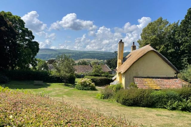 Some of the best cafes and tearooms in glorious West Somerset
