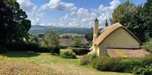Some of the best cafes and tearooms in glorious West Somerset