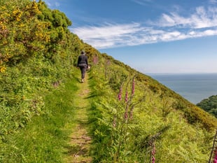 £1,000 offered for ideas on how Minehead can adapt to climate change