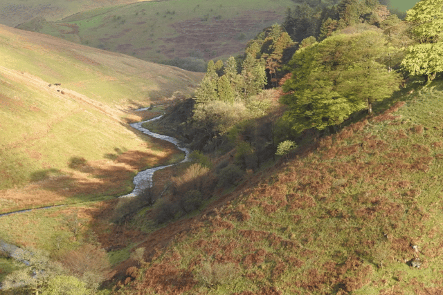 Exmoor National Park to celebrate 70 years of natural beauty