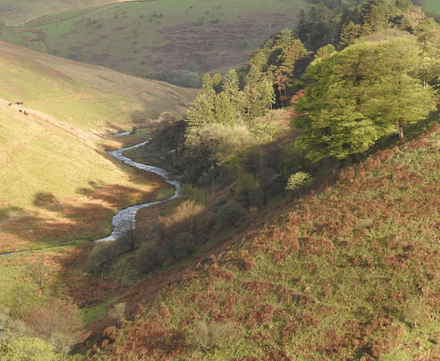 Exmoor National Park to celebrate 70 years of natural beauty