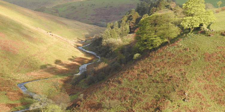 Exmoor Society Photography