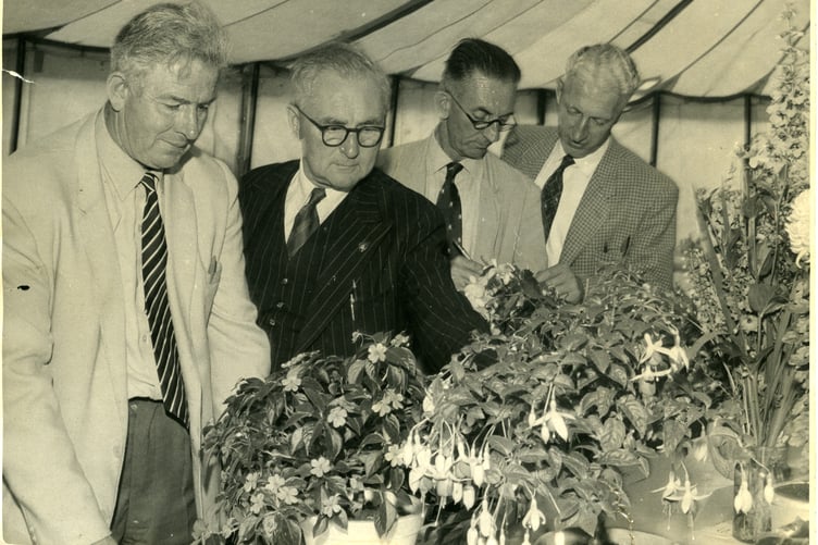 Judging entries at a 1960s Watchet Gardening Club show.