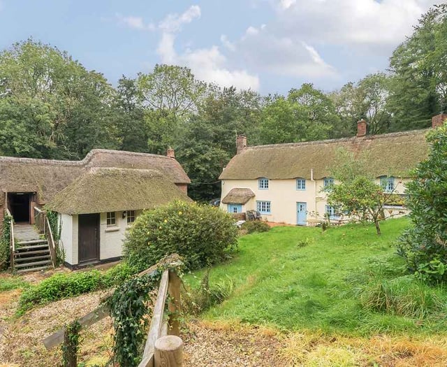 Discovering the Best-Rated Pubs in West Somerset