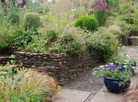 Cottage garden opening to help children's hospice