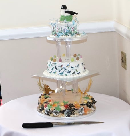 Exmoor Natural History Society's celebratory cake with wildlife decorations. 50 years anniversary