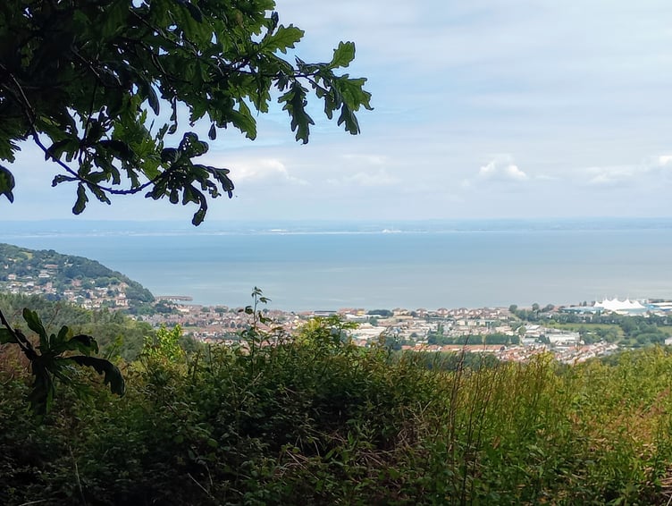 Taken from Hopcott looking over Minehead