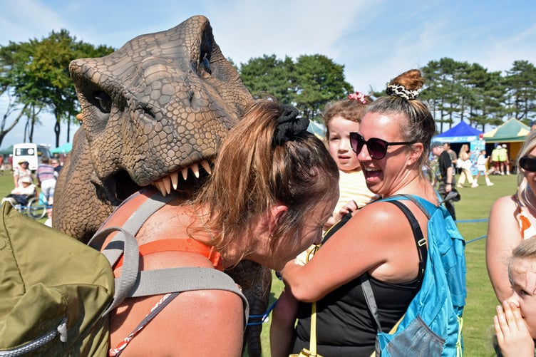 Just when you thought it was safe to go back on Watchet Memorial Ground....