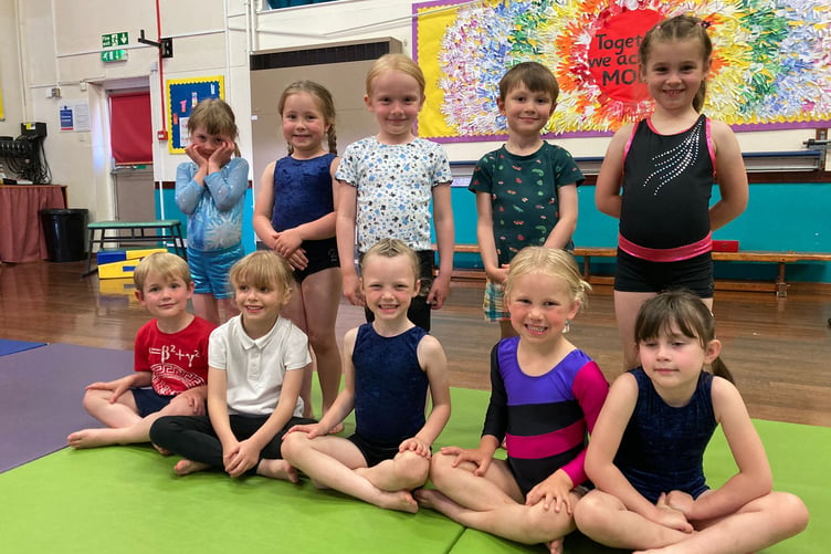 West Somerset Gymnastics - reception