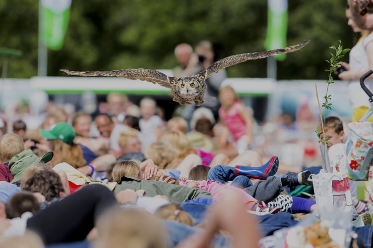 Visitors to Dunster Show will have a close encounter with birds of prey.
