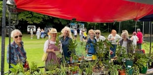 Bumper crowd for village's annual fete