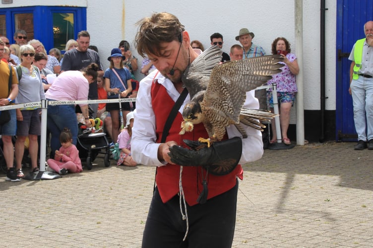 Jonathan Marshall is also a professional falconer, as he showed people attending Watchet Street Fair.