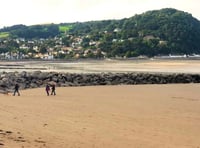 Beach dog ban signs go up - six months late