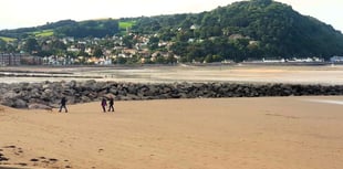 Beach dog ban signs go up - six months late