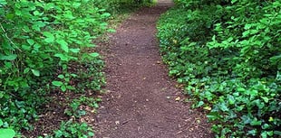 Volunteers sought for village litter pick