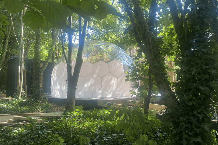 The 'meditational glamping' pods have been wrapped around trees in the grounds of Chapel Cleeve Manor, Old Cleeve. PHOTO: Architectural Studio SW.
