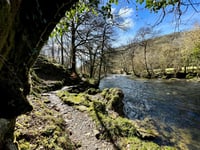 Research shows Exmoor rivers are being polluted by pharmaceuticals 