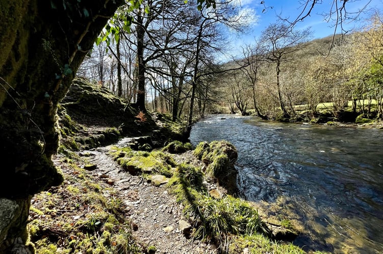 The River Barle, Exmoor