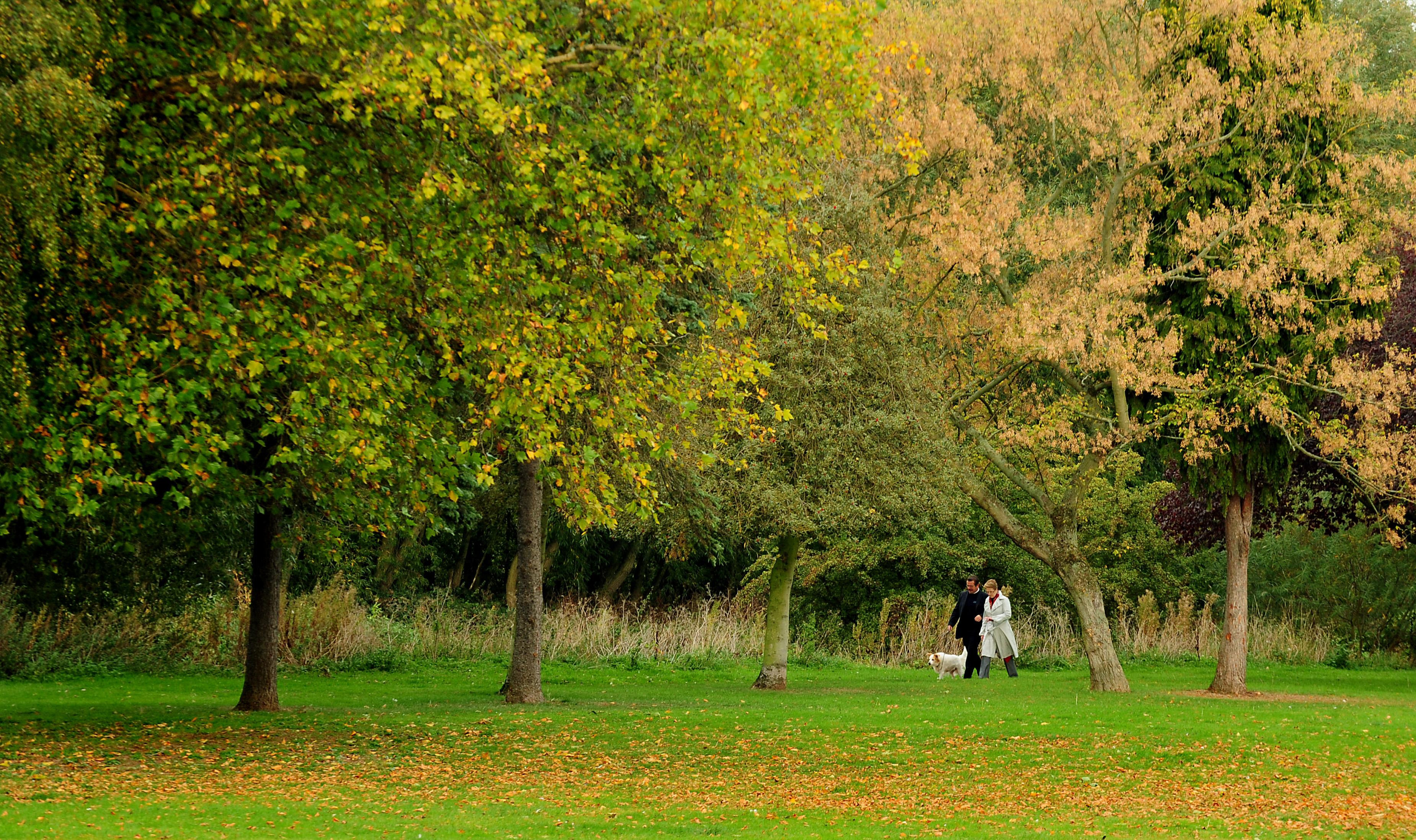 Access to green space in Somerset West and Taunton lower than South West average