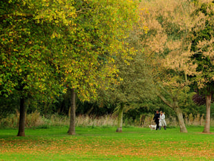 Access to green space in Somerset West and Taunton lower than South West average