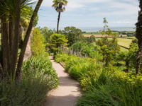Experience the magic of its Dunster Castle gardens after hours