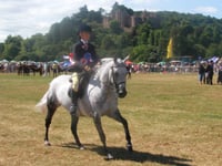 Dunster Show returns with wall-to-wall sunshine and even larger crowds