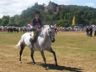 Dunster Show returns with wall-to-wall sunshine and even larger crowds