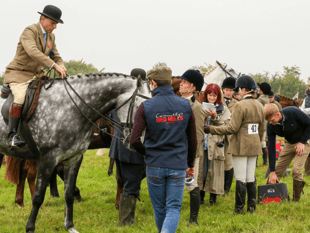 Crowds and rise in entries at 130th Exford Show - in pictures