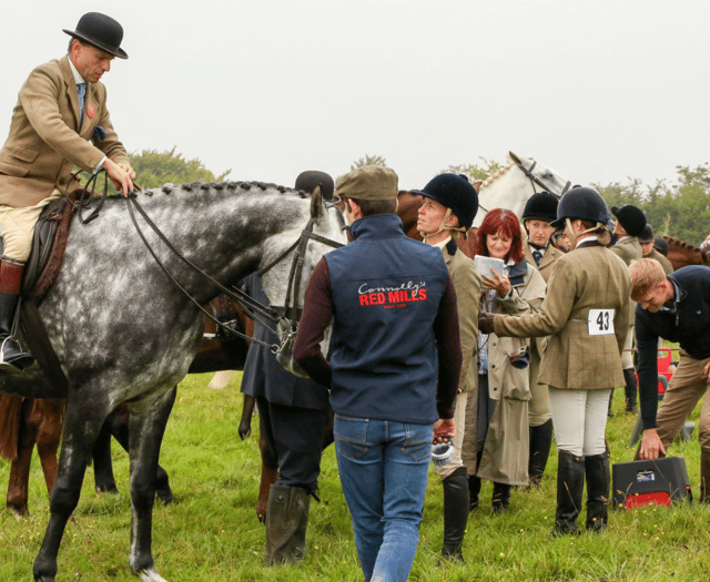 Crowds and rise in entries at 130th Exford Show - in pictures
