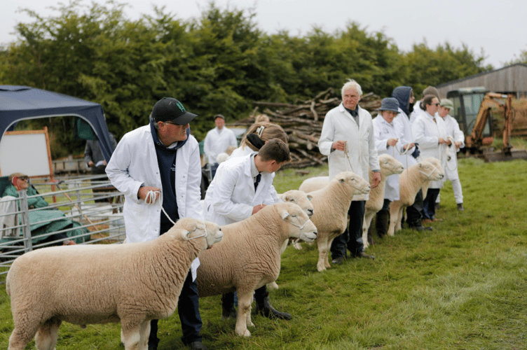 Moving a bale of hay in the inter-hunt relay