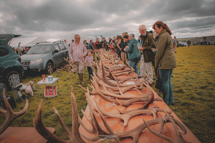 The antler competition