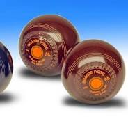Minehead Bowls Club success
