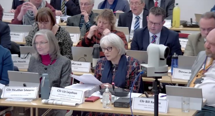 Deputy leader Liz Leyshon introduces the budget alongside leader Bill Revans (Photo: Somerset County Council)