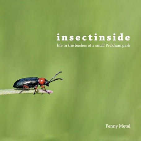 The cover of a book by insect photographer Penny Metal, who is leading a bug hunt in Wootton Courtenay.