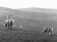 Join Exmoor National Park as it celebrations its 70th birthday