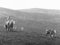 Join Exmoor National Park as it celebrations its 70th birthday