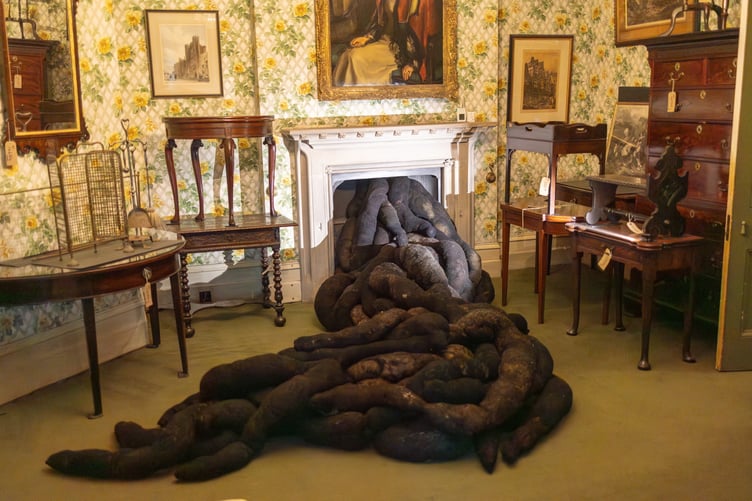 Nicola Turner's art piece â'The Uninvited Guest from the Unremembered Past'' in Tyntesfield House in Somerset. An art installation at a National Trust house has caused a stink - with some claiming it looks like ''a big pile of poo''. Called â'The Uninvited Guest from the Unremembered Past'' the new exhibition is at Tyntesfield House in Somerset. The pieces by artist Nicola Turner are made of organic âdeadâ materials - furniture legs, wool and horsehair and are âwinding their way around the houseâ. But some onlookers say one piece in particular coming out of the fireplace looks like a pile of poo.