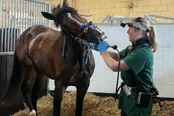 Set for new National Hunt racing season