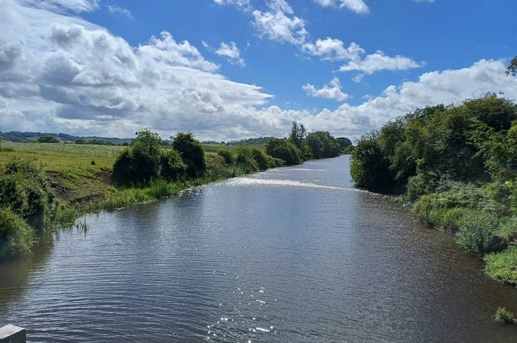 The King's Sedgemoor Drain near Bradney, looking upstream (Photo: Daniel Mumby)