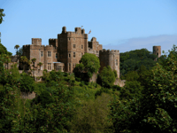Dunster Castle's 'school of magic' to return this autumn