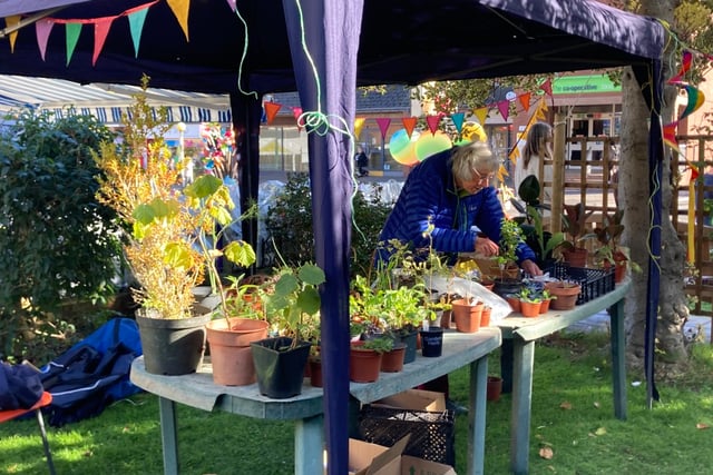 Minehead Climate Fair is a phenomenal success