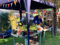 Minehead Climate Fair is a phenomenal success