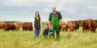 Deadline extended for Exmoor farmers to get support for the future