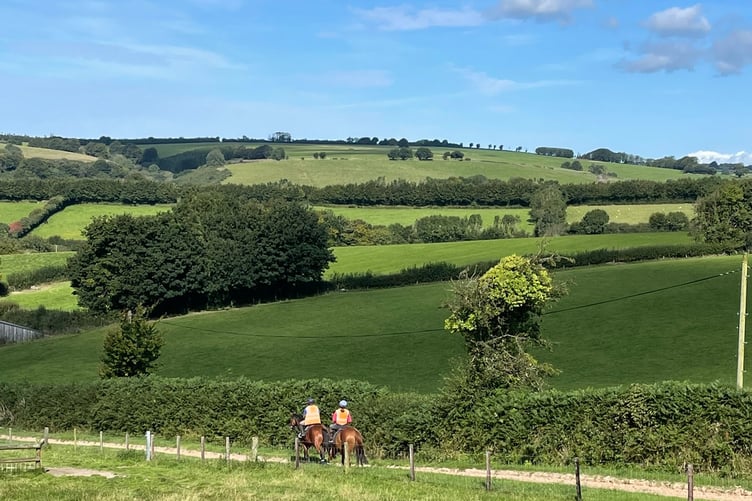 A stroll on Exmoor for two of Scott's horses