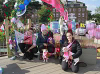 Cafe customers feeling in the pink for cancer charity