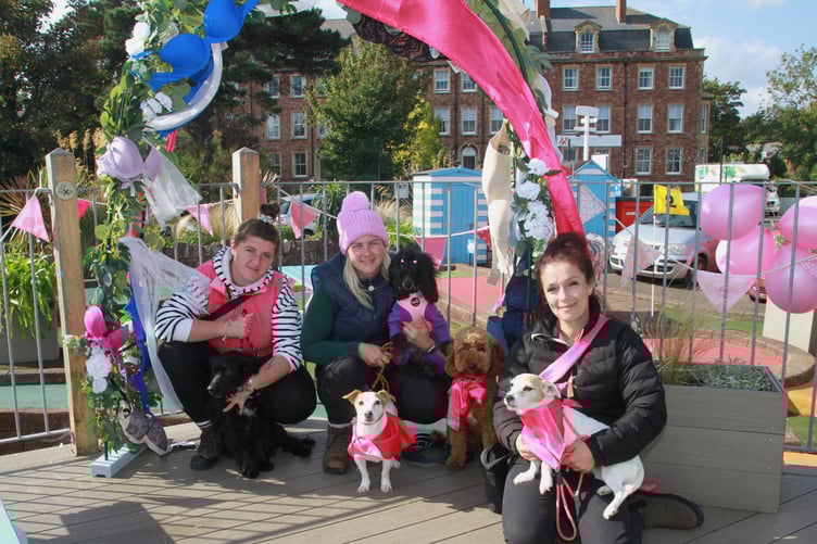 Pictured under a bra arch at Minehead's Jubilee Cafe made by women's institute members are (left to right) Susan Nunn with Dief, Laura Lambert with Frankie, Bella, and Colin, and Nadia Boukfill with Echo.