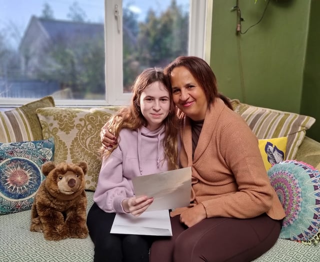 Somerset Council make urgent plea for more foster carers