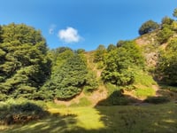 Quantocks charity adds local quarry to 400 acres of landholdings