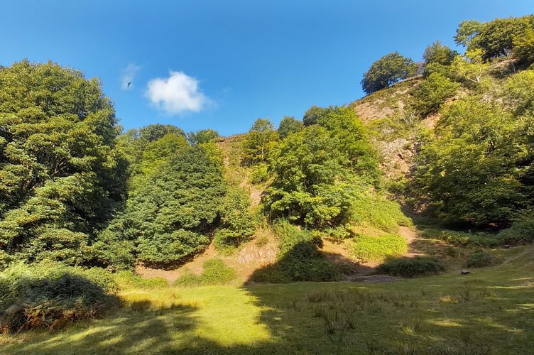 Friends of the Quantocks has taken on the custodianship of Bicknoller Quarry with the aim of protecting its biodiversity and safeguarding it from commercial development (Photo: Friends of the Quantocks)
