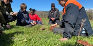Exmoor National Park secures £1.25m to boost nature projects